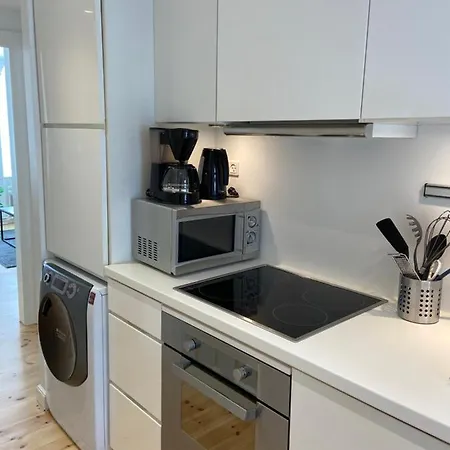 Apartment Viborggade *